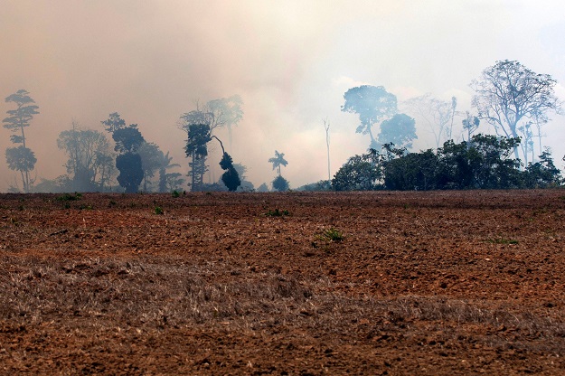 A smoke cloud is seen over a burnt area after a fire in the Amazon rainforest. PHOTO: AFP