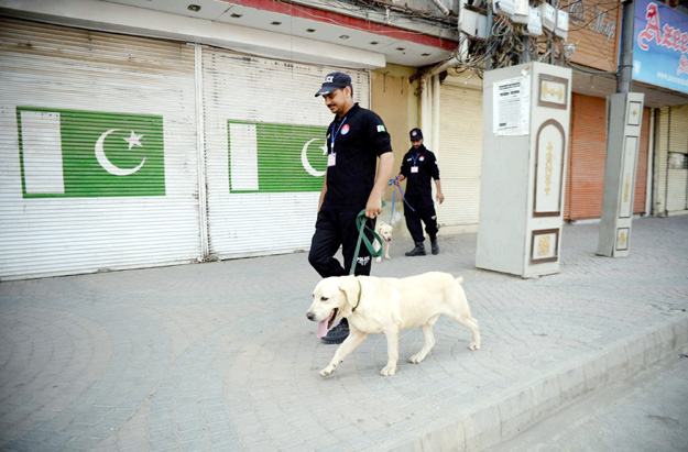 Police officers walk along a procession route with sniffer. PHOTOS: APP/PPI