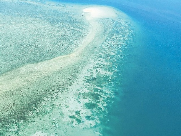 A picture of the Great Barrier Reef. PHOTO: AFP