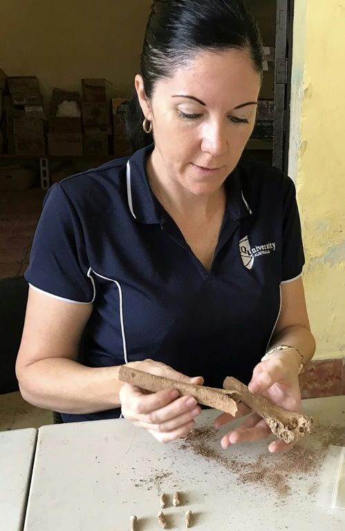 Alyson Wilson started her research project after a trip to Mexico to help classify Mayan-era skeletal remains. PHOTO: AFP