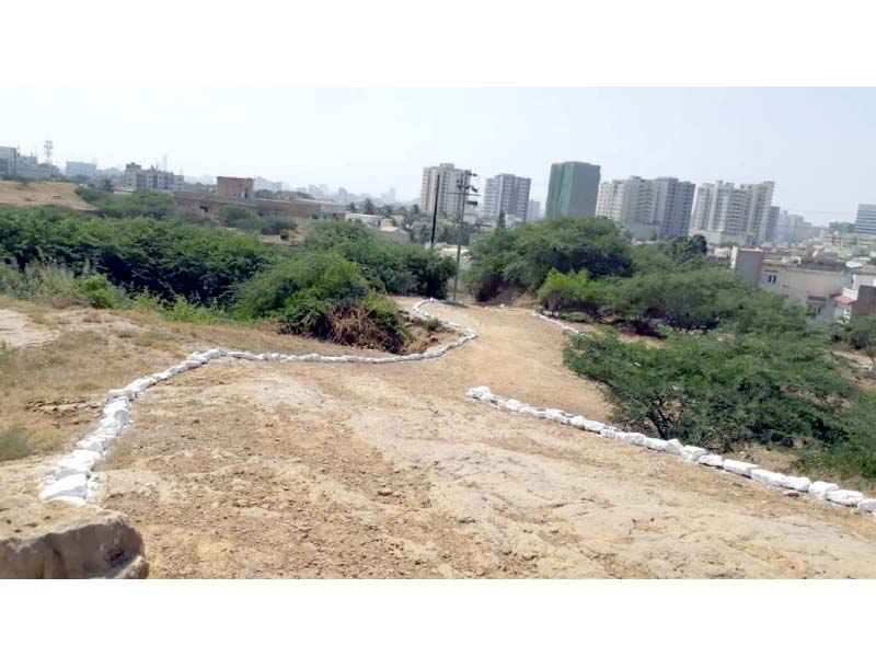 With the park land now free of encroachments, KMC  has been keen to re-establish Kidney Hill as a state-of-the-art urban forest. They plan to plant as many as 10,000 trees in phase-I. PHOTO: EXPRESS