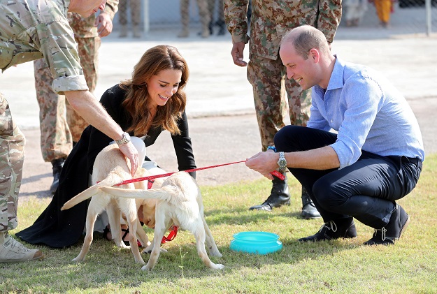 Prince William and Kate Middleton play with golden labrador puppies Salto and Sky as they visit an Army Canine Centre. PHOTO: Reuters