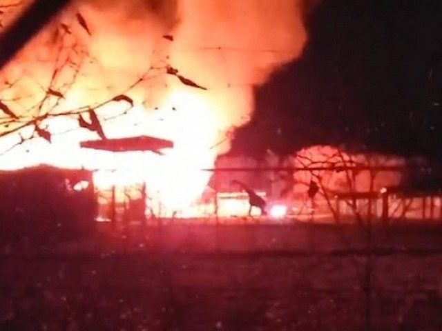 https://c.tribune.com.pk/2019/11/2108858-ten_exotic_animals_have_been_killed_in_a_horror_barn_fire_at_them_-1575032519-610-640x480.jpg