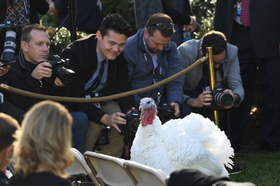 Members of the media take photos of one of the turkeys before US President Donald Trump pardons the National Thanksgiving Turkey during a ceremony. PHOTO: AFP