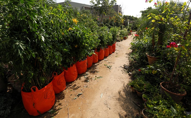 Bags of plants with weight and ordinal numbers written on them are seen before being transported for planting along the pilgrimage route. PHOTO: REUTERS 