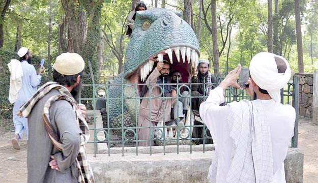 Azadi march participants enjoy the day at the Islamabad Zoo. PHOTO: APP