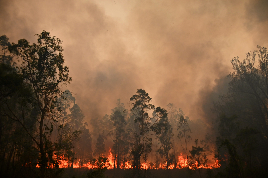 A fire rages in Bobin, 350km north of Sydney on November 9, 2019, as firefighters try to contain dozens of out-of-control blazes that are raging in the state of New South Wales. PHOTO: AFP
