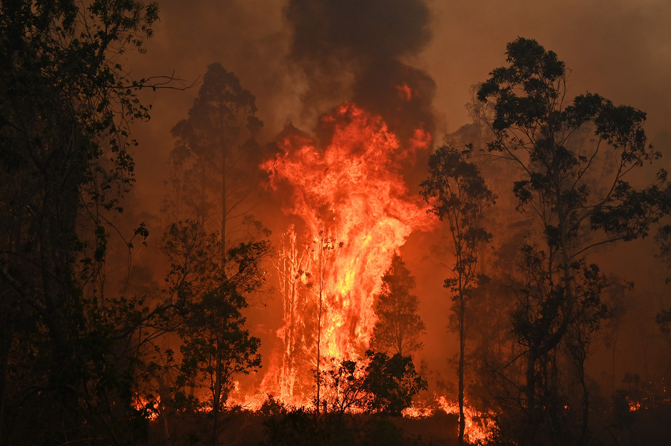 A fire rages in Bobin, 350km north of Sydney on November 9, 2019, as firefighters try to contain dozens of out-of-control blazes that are raging in the state of New South Wales. PHOTO: AFP