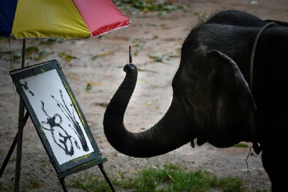 Suda the elephant holds a brush in her trunk and paints Japanese-style landscapes for visitors who can later buy the prints for up to $150. PHOTO: AFP