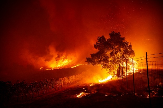 Greenhouse gas emissions are once again set to rise, leading to extreme weather events such as California's wildfires. PHOTO: AFP 