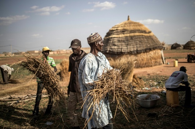 Men rebuild a hut at a camp in Dosso. The nomadic lifestyle is highly vulnerable to climate change, especially altered rainfall patterns .PHOTO: AFP