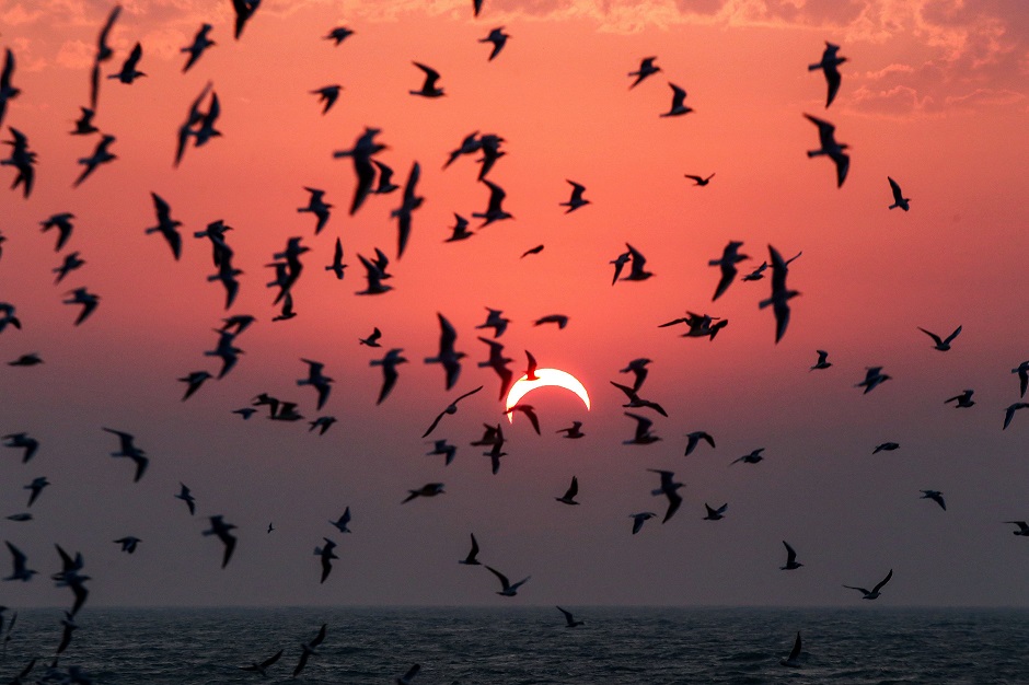 This picture taken early on December 26, 2019 shows seagulls flying above a beach in Kuwait City during the partial solar eclipse event. PHOTO: AFP