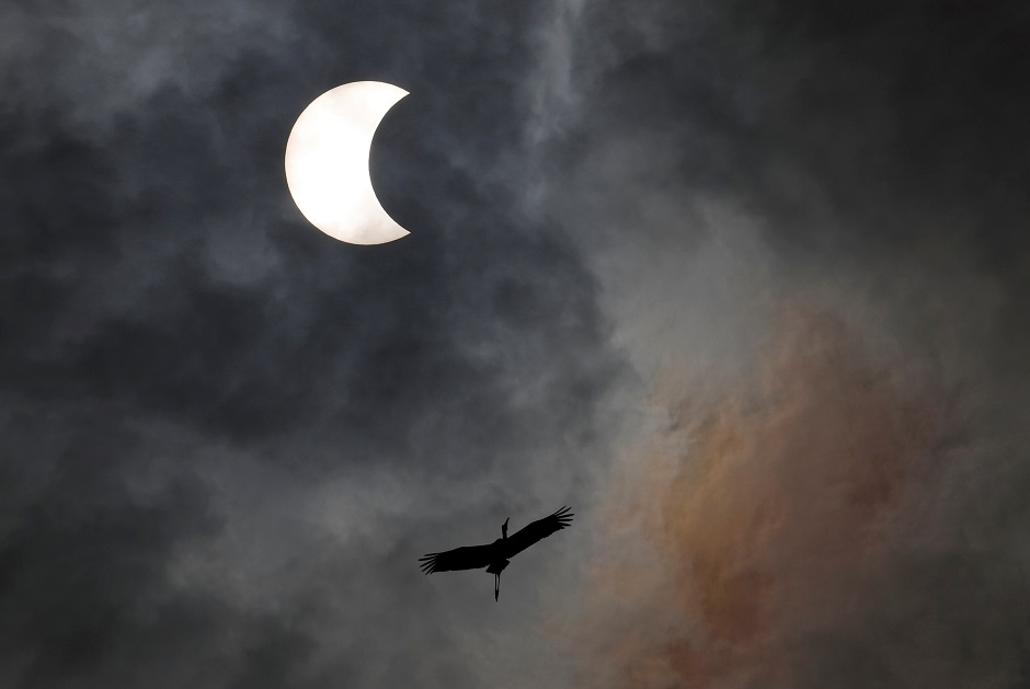 A bird flies during the solar eclipse in Bangkok, Thailand. PHOTO: Reuters