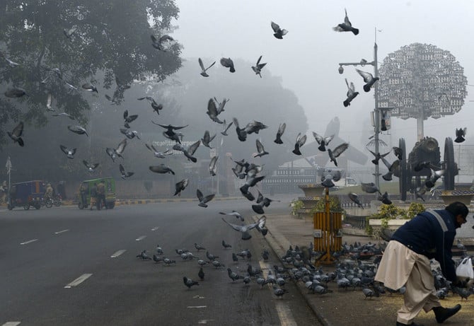 a pakistani man feeds pigeon on the roadside amid heavy fog and smog conditions in lahore on january 3 2019 photo afp