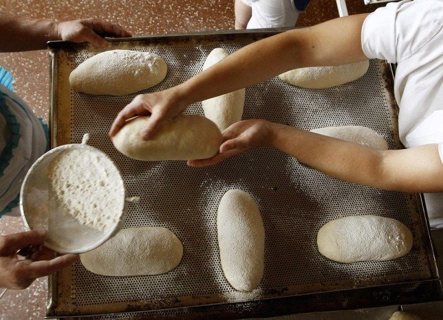 in pakistan food scientists develop multigrain flour to tackle malnutrition