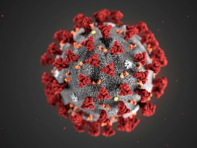 An illustration of the coronavirus. 