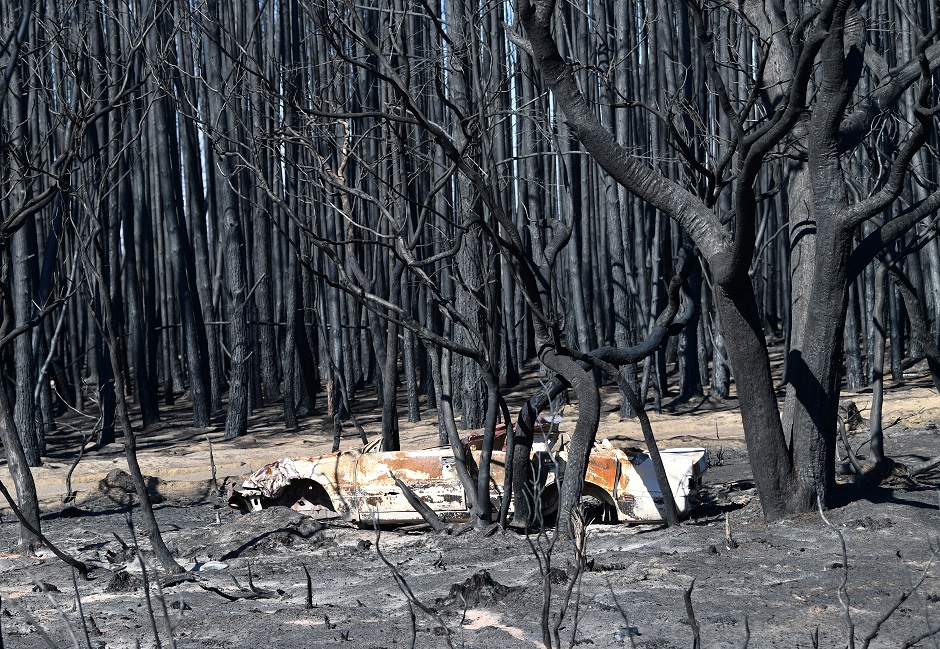 A general view of fire damage on Kangaroo Island, Australia.PHOTO: REUTERS