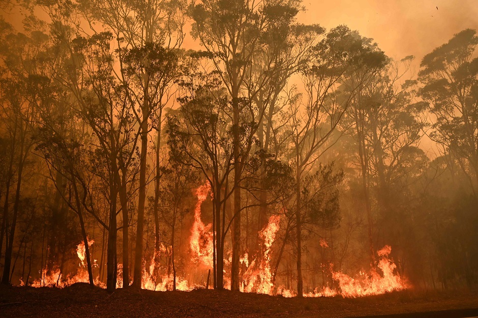 A bushfire burns in the town of Moruya, south of Batemans Bay, in New South Wales. PHOTO: AFP