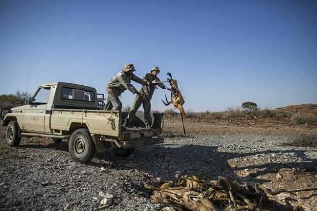 Workers at the game farm dispose of a carcass of a dead animal. PHOTO: AFP