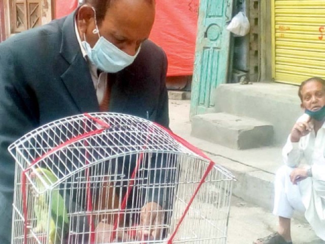 Pet store owners raise their shutters to care for their animals (Left); a pet store owner feeds a caged parrot (Right). PHOTO: EXPRESS