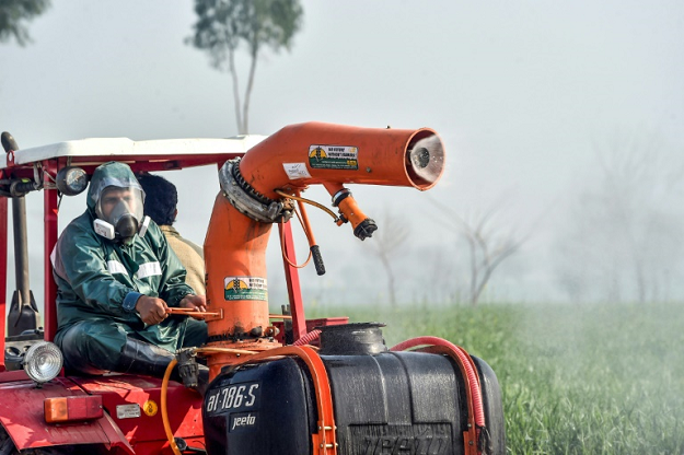 The pesticides used by officials are also dangerous for consumption, so even when the locusts are dead the remaining crops have to be discarded. PHOTO: AFP