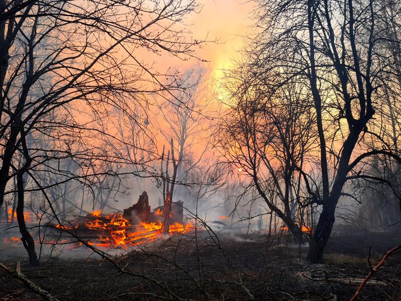 Firefighters try to extinguish a fire burning in the exclusion zone around the Chernobyl nuclear power plant, April 10. State Emergency Service of Ukraine in Kiev region. Photo: Reuters 