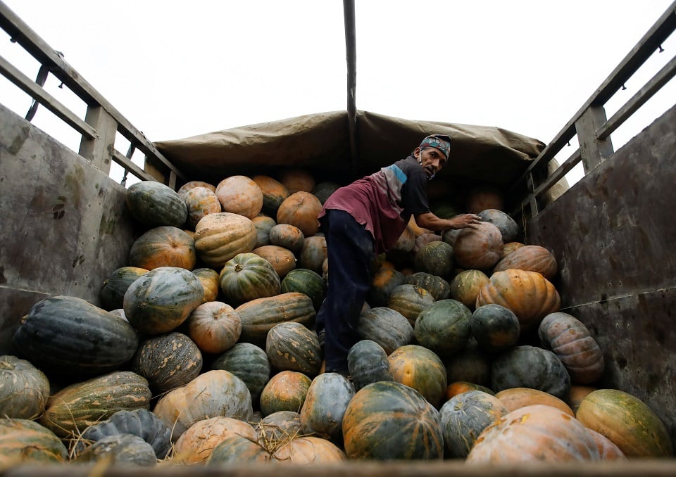 A labourer unloads pumpkins from a truck at a vegetable market during May Day, amid the lockdown imposed by the government over concerns about the spread of the coronavirus disease (COVID-19) outbreak, in Kathmandu, Nepal May 1, 2020. REUTERS/Navesh Chitrakar